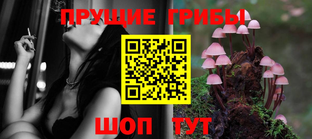 Галлюциногенные грибы прущие грибы  Вход с VPN  где продают   Славгород 