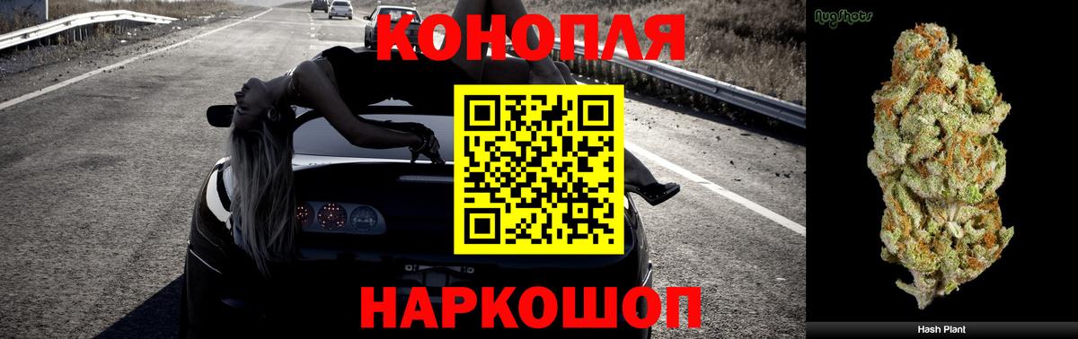 Каннабис гибрид  Бошки Шишки OG Kush  МАРИХУАНА Bruce Banner  Вход с VPN  Славгород 